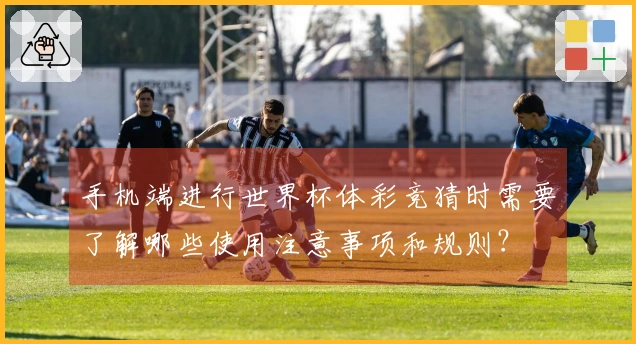 手机端进行世界杯体彩竞猜时需要了解哪些使用注意事项和规则？