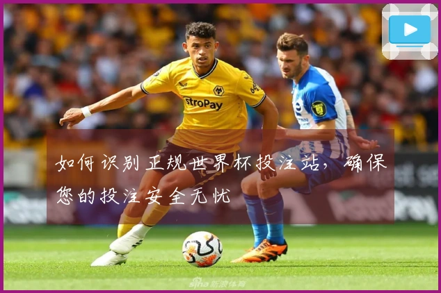 如何识别正规世界杯投注站，确保您的投注安全无忧
